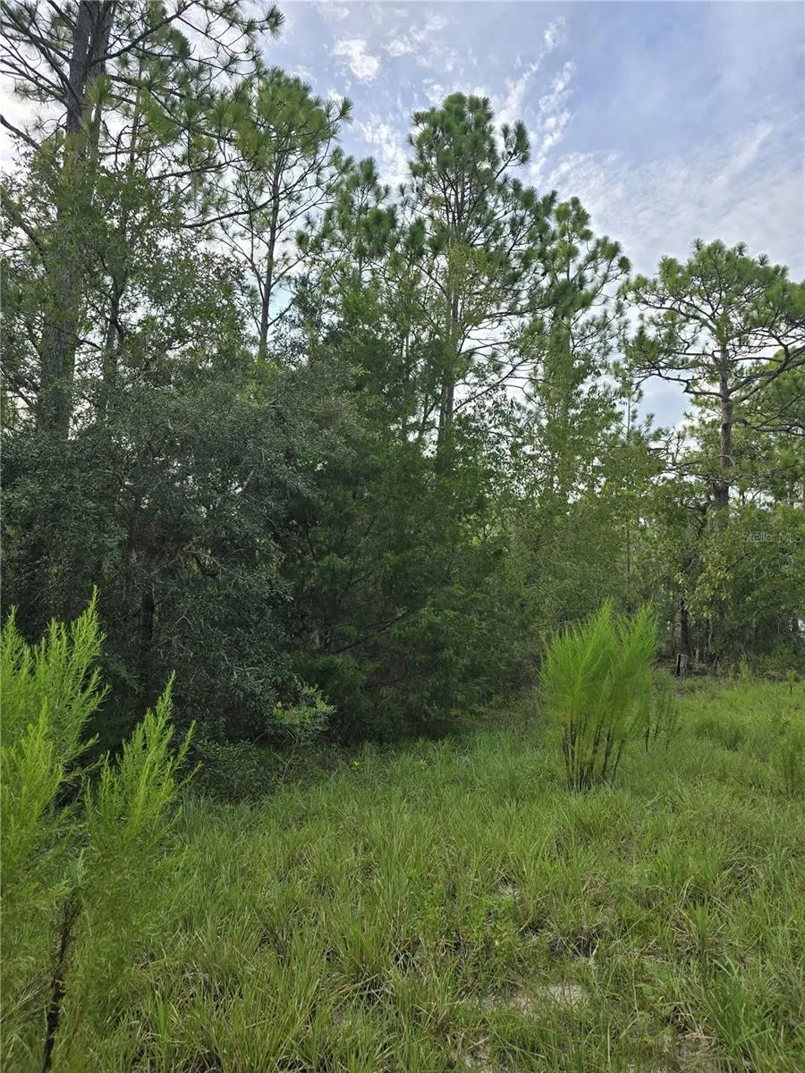 00 NE 124TH TERRACE Williston, FL 32696