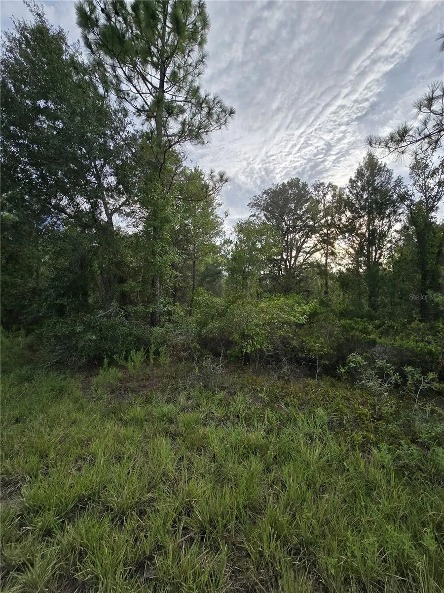 00 NE 124TH TERRACE Williston, FL 32696