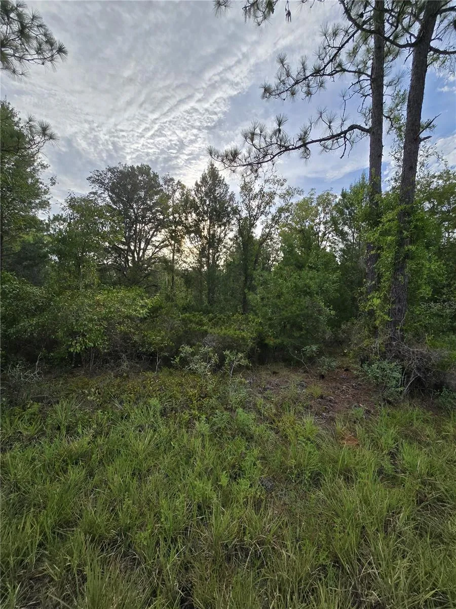 00 NE 124TH TERRACE Williston, FL 32696