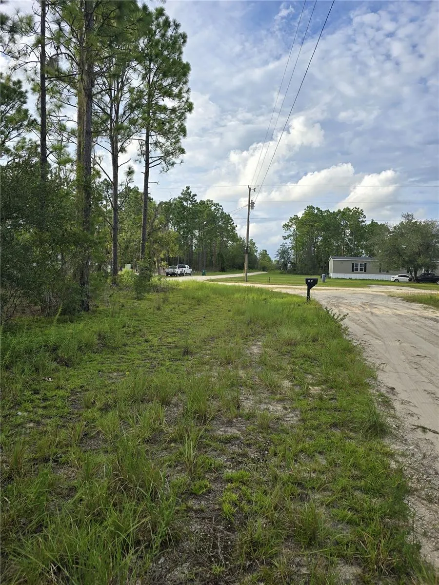 00 NE 124TH TERRACE Williston, FL 32696