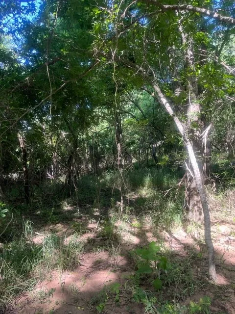 366 Riverside Drive Bastrop, TX 78602