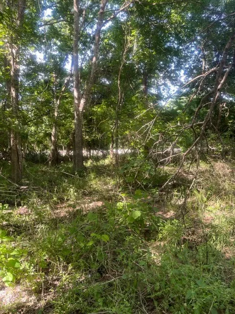 366 Riverside Drive Bastrop, TX 78602
