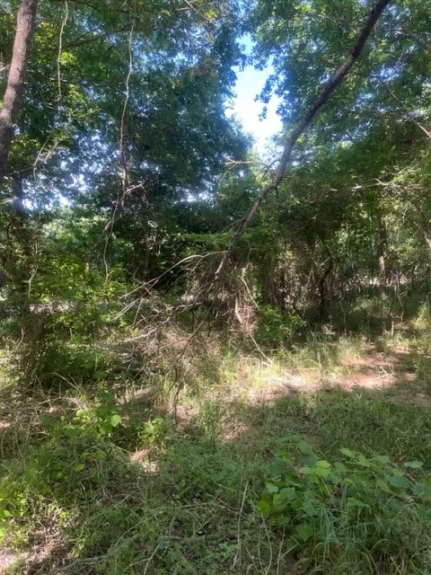 366 Riverside Drive Bastrop, TX 78602