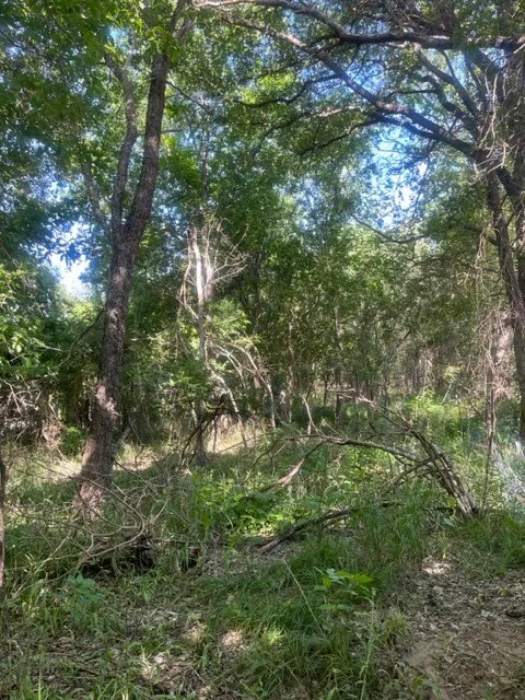 366 Riverside Drive Bastrop, TX 78602