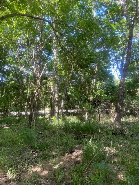 366 Riverside Drive Bastrop, TX 78602