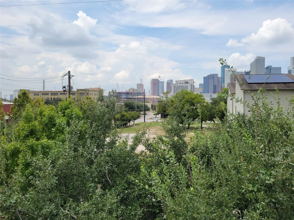 1115 Saint Charles Street Houston, TX 77003