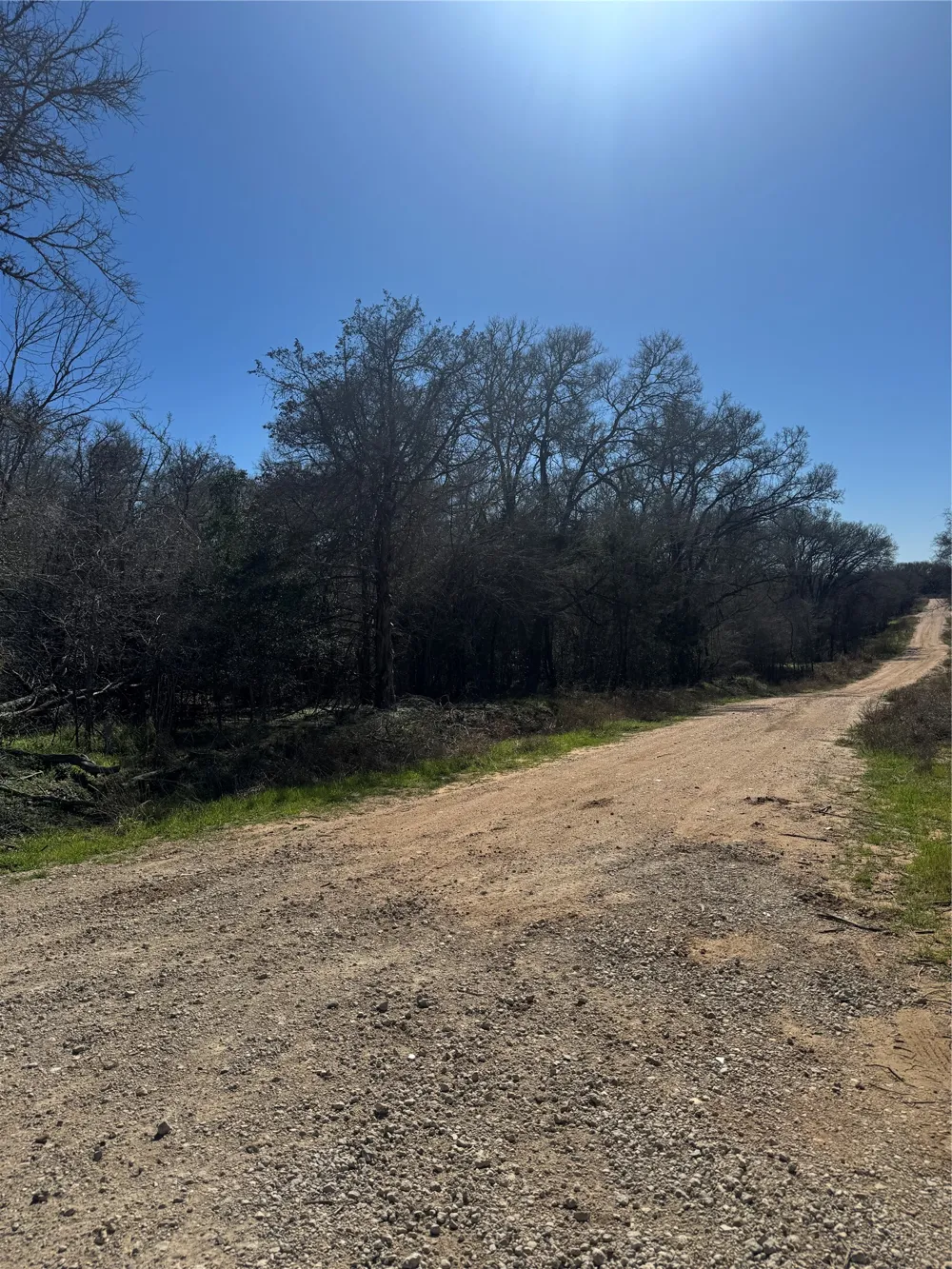 320 Kolekole Lane Bastrop, TX 78602