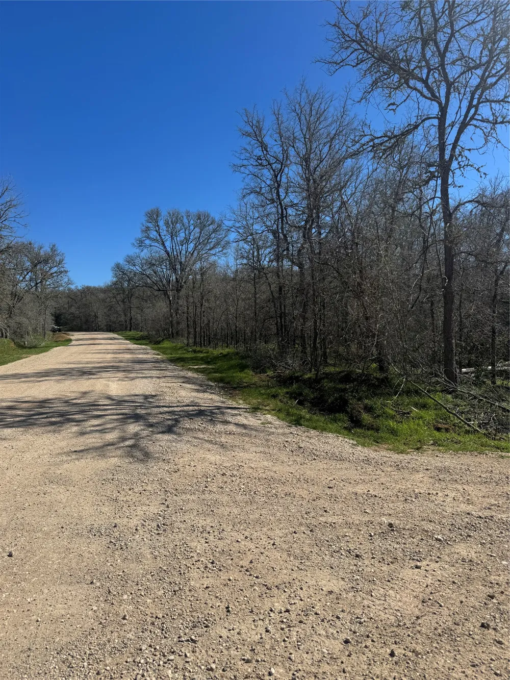 320 Kolekole Lane Bastrop, TX 78602
