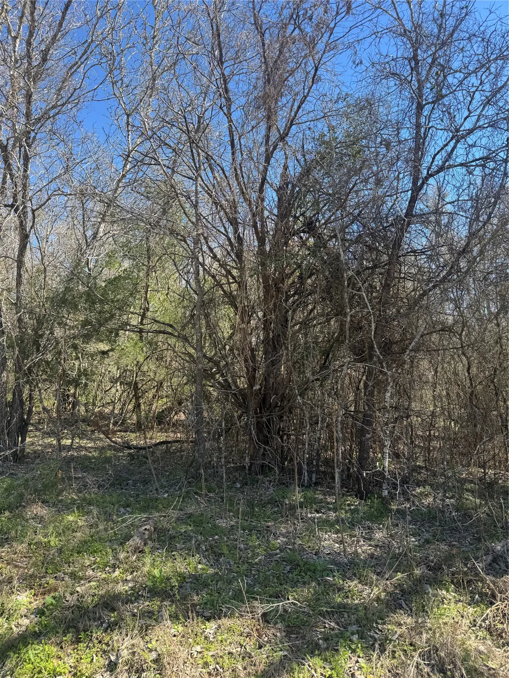 320 Kolekole Lane Bastrop, TX 78602