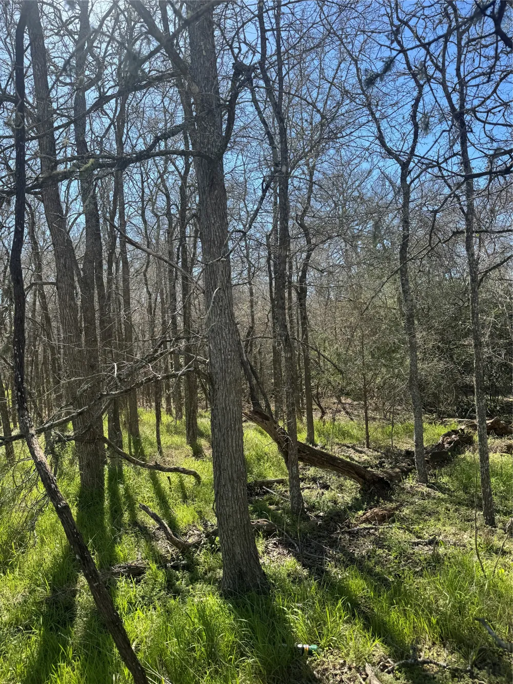 320 Kolekole Lane Bastrop, TX 78602