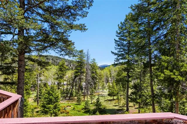 19653 Silver Ranch Road Conifer, CO 80433