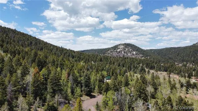 19653 Silver Ranch Road Conifer, CO 80433