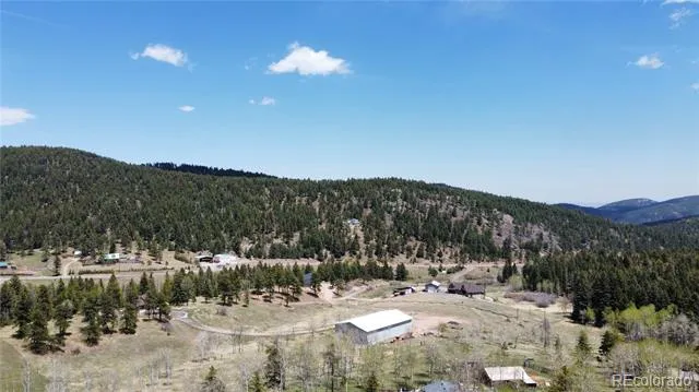 19653 Silver Ranch Road Conifer, CO 80433