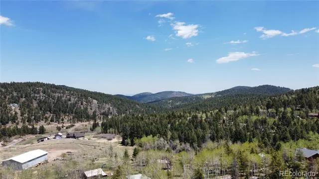 19653 Silver Ranch Road Conifer, CO 80433