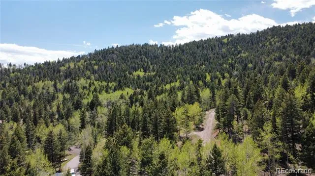 19653 Silver Ranch Road Conifer, CO 80433