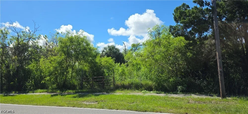 Hudson Avenue Hudson, FL 34667