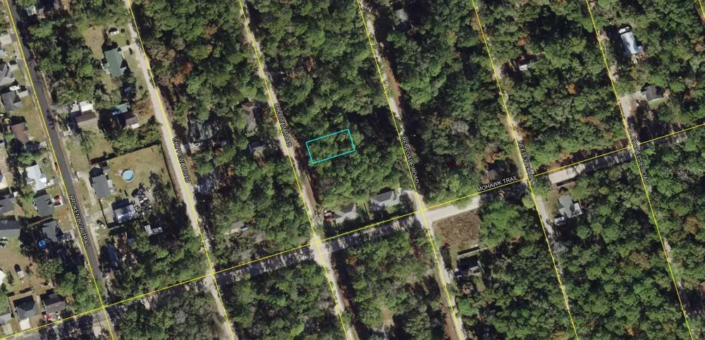 00-00-035-008-07417-000 CHOCTAW ROAD Crawfordville, FL 32327
