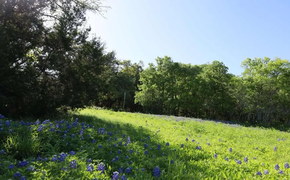 10214 Bilbrook Place Austin, TX 78748