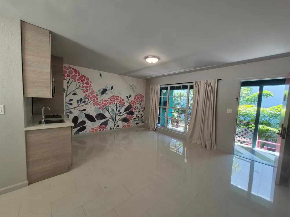 1007 SE 2nd Court #7 Fort Lauderdale, FL 33301