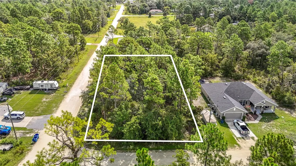 13542 ROBIN AVENUE Weeki Wachee, FL 34614