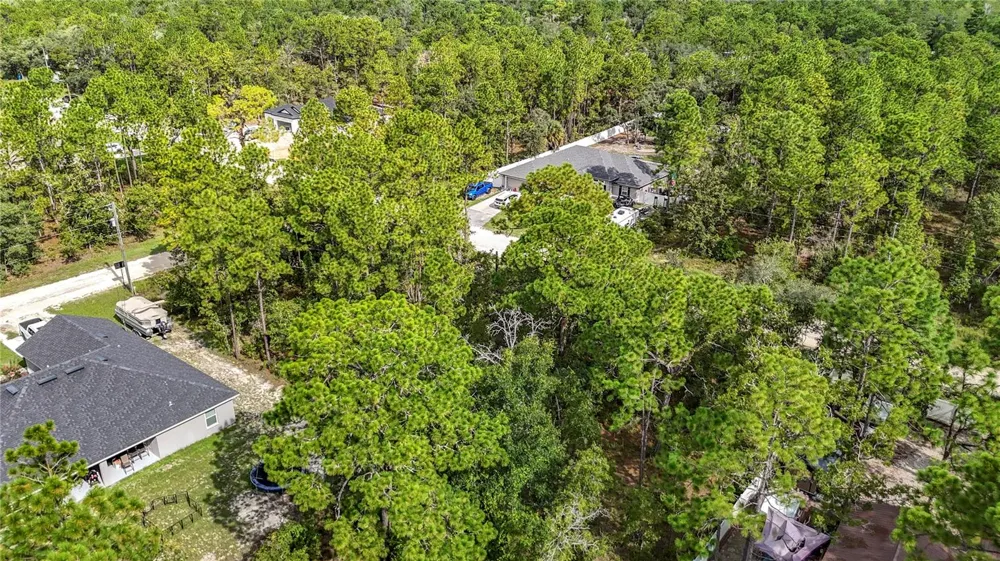 13542 ROBIN AVENUE Weeki Wachee, FL 34614