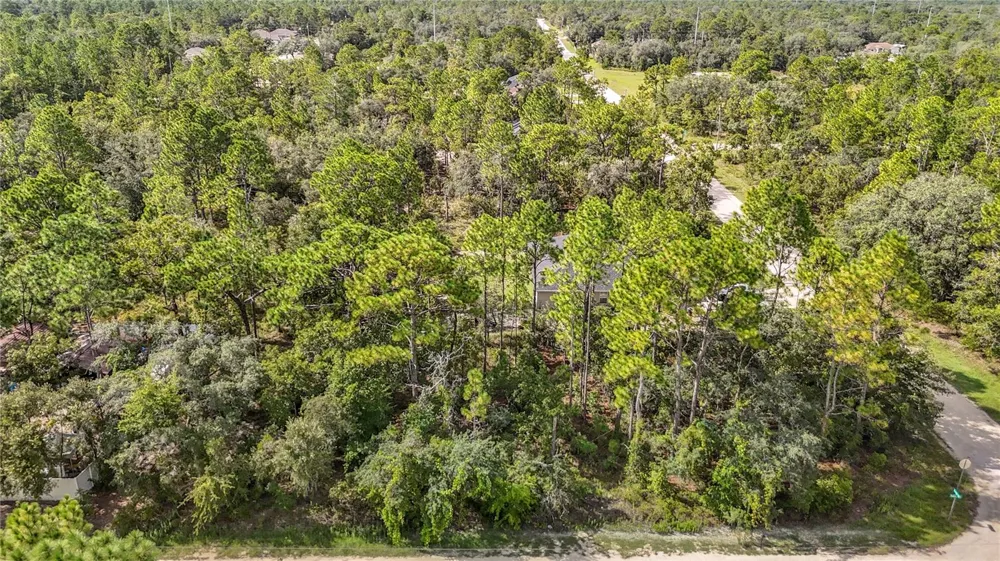 13542 ROBIN AVENUE Weeki Wachee, FL 34614