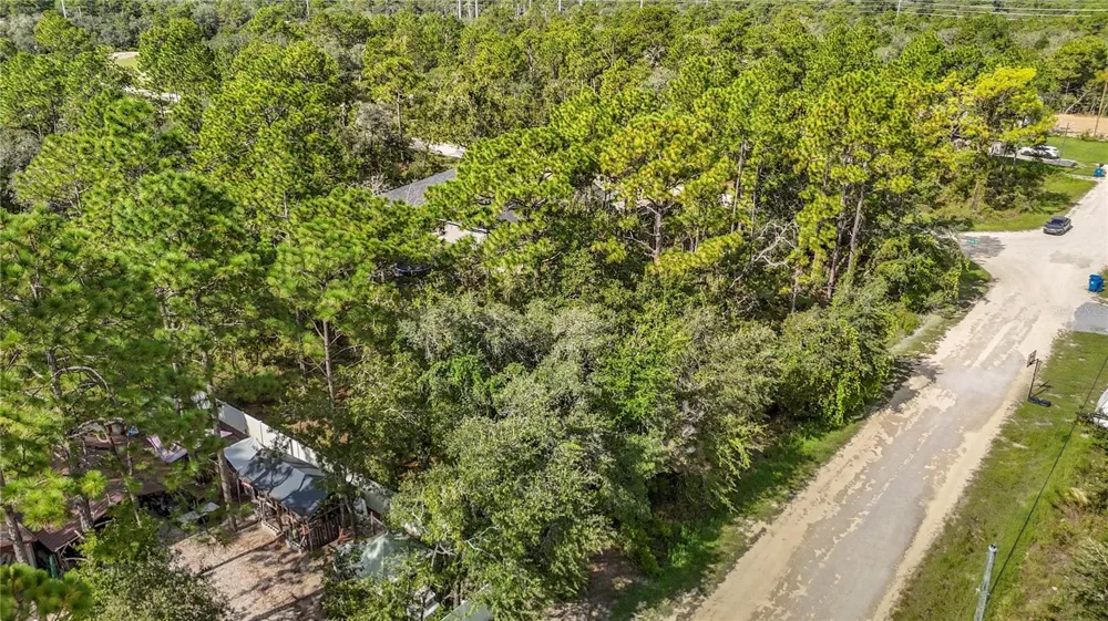 13542 ROBIN AVENUE Weeki Wachee, FL 34614
