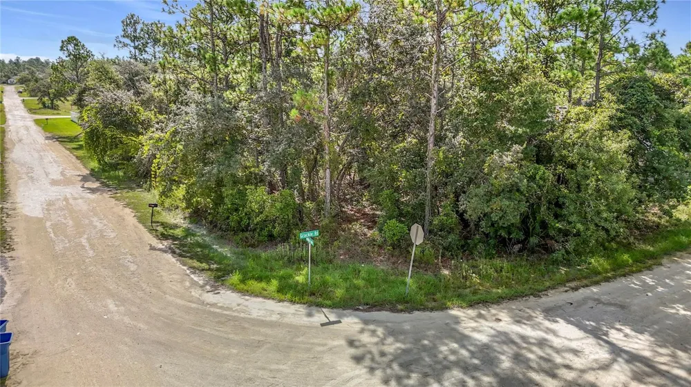 13542 ROBIN AVENUE Weeki Wachee, FL 34614