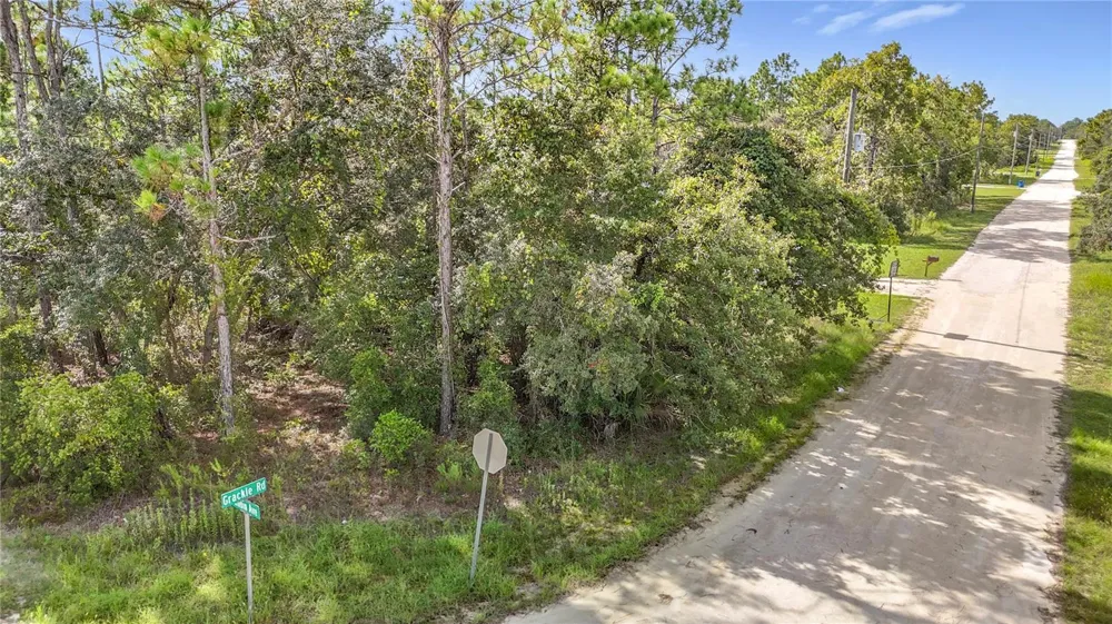13542 ROBIN AVENUE Weeki Wachee, FL 34614