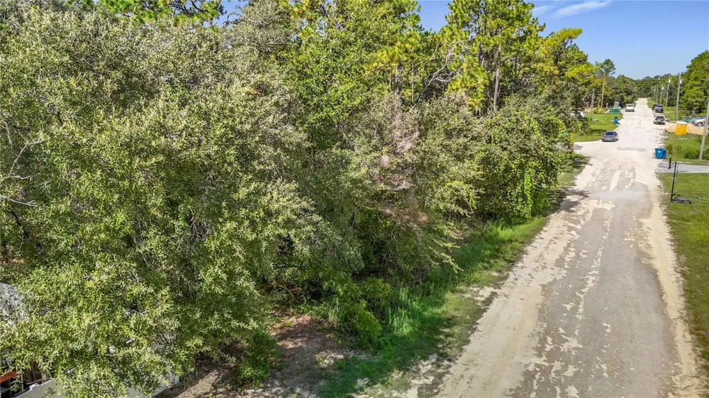 13542 ROBIN AVENUE Weeki Wachee, FL 34614