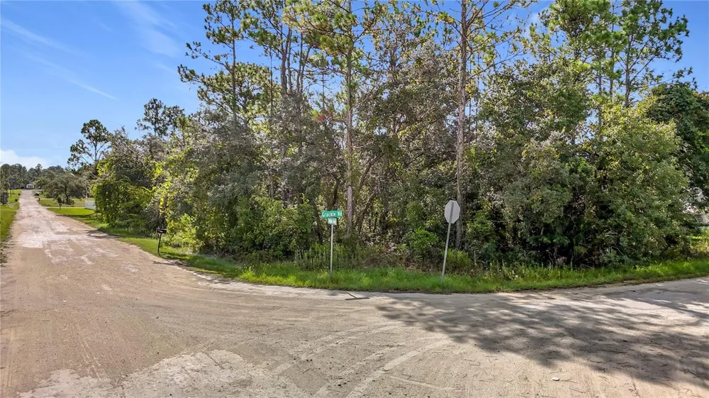 13542 ROBIN AVENUE Weeki Wachee, FL 34614