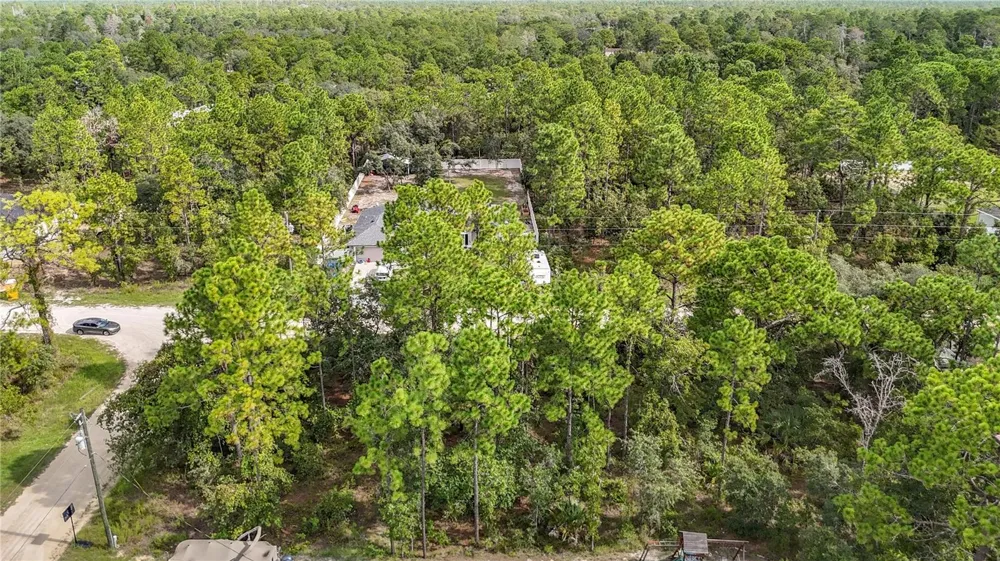 13542 ROBIN AVENUE Weeki Wachee, FL 34614