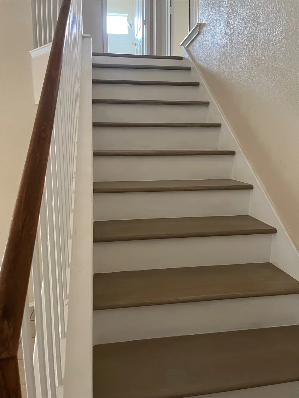 1511 Plume Grass Place Round Rock, TX 78665