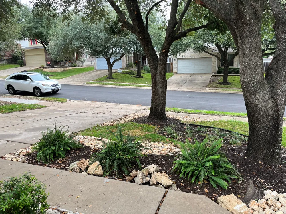 1511 Plume Grass Place Round Rock, TX 78665