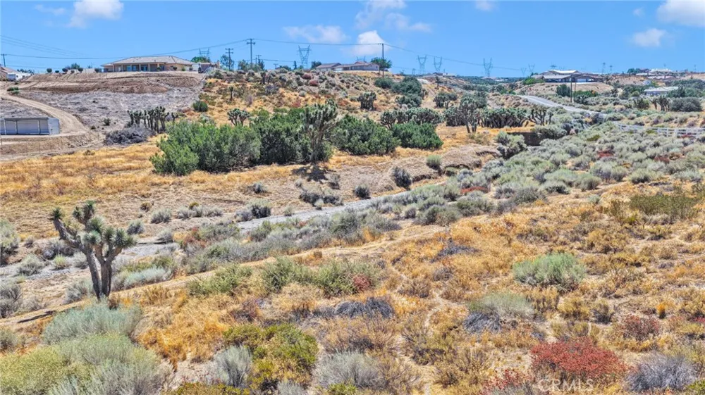 10120 Mesquite Oak Hills, CA 92344