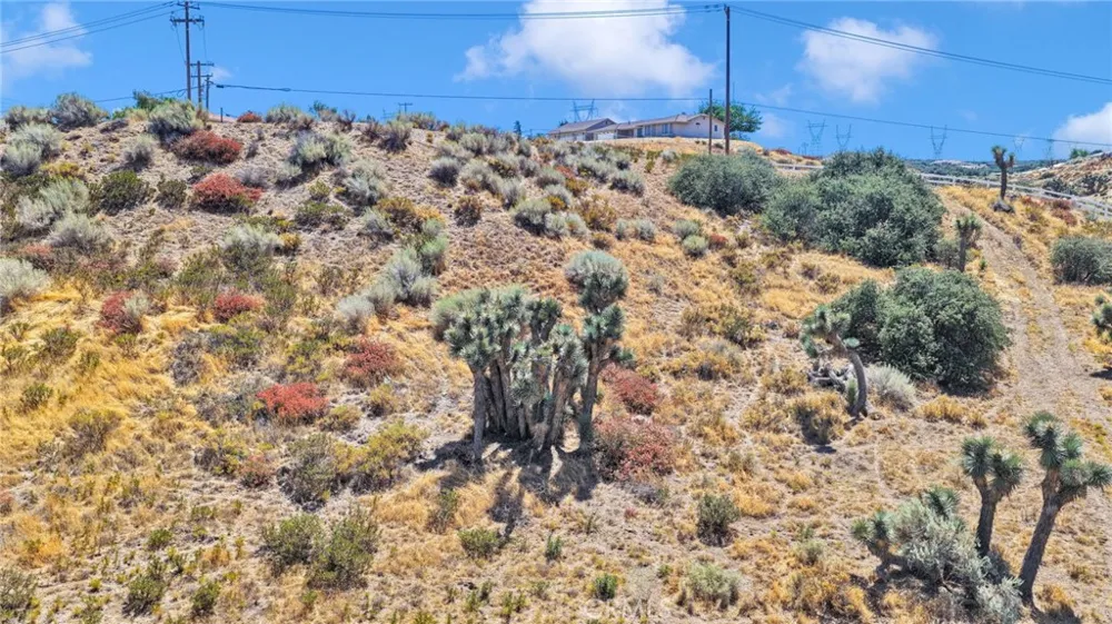 10120 Mesquite Oak Hills, CA 92344
