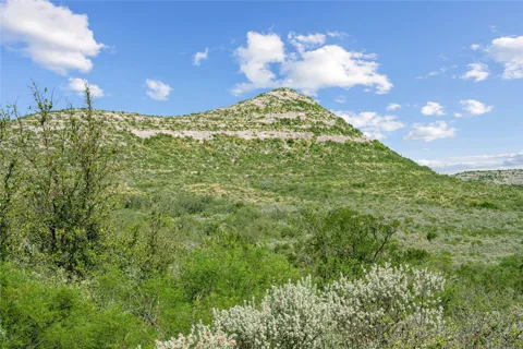 Hwy 55