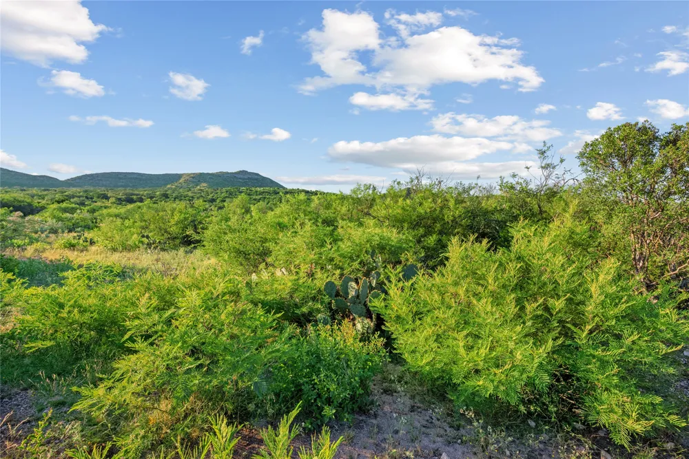 Hwy 55 Uvalde, TX 78801
