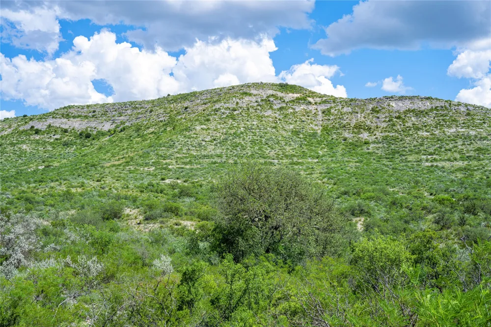 Hwy 55 Uvalde, TX 78801