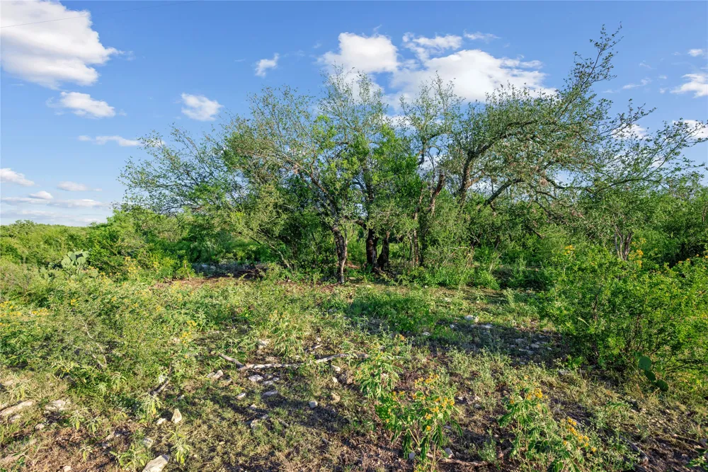 Hwy 55 Uvalde, TX 78801
