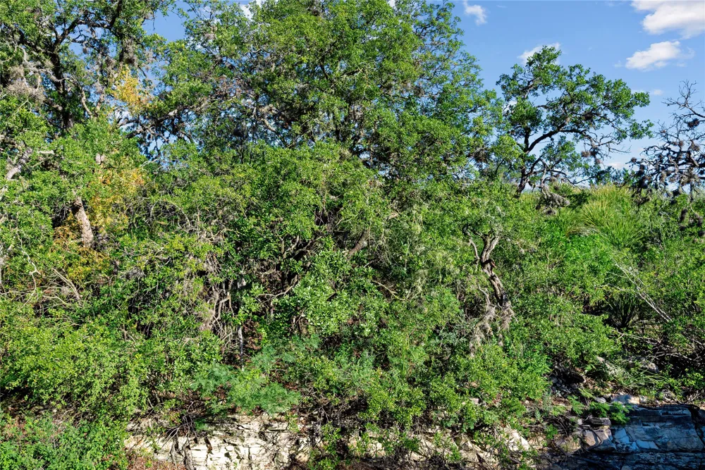 Hwy 55 Uvalde, TX 78801