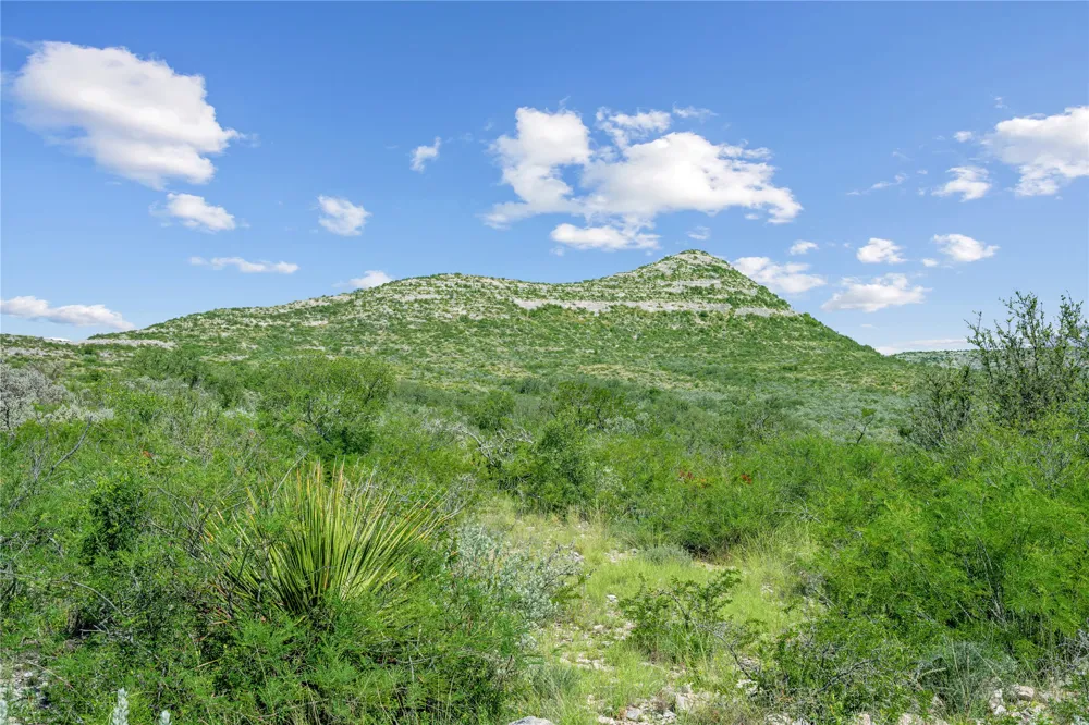 Hwy 55 Uvalde, TX 78801