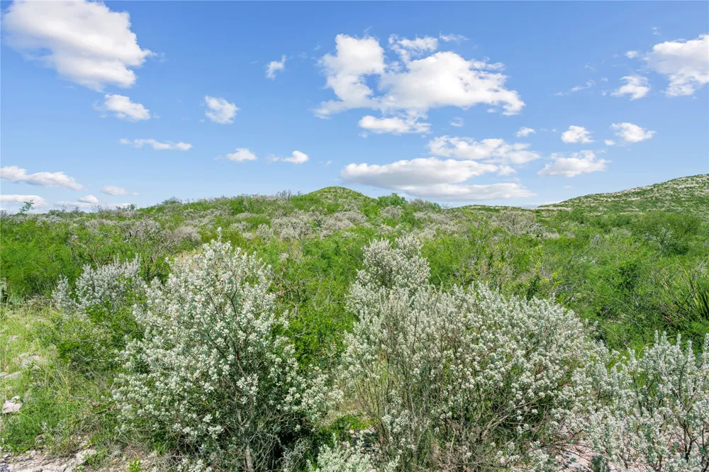 Hwy 55 Uvalde, TX 78801