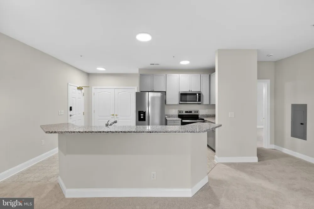 3000 FOUNTAINVIEW CIRCLE #3315 Newark, DE 19713