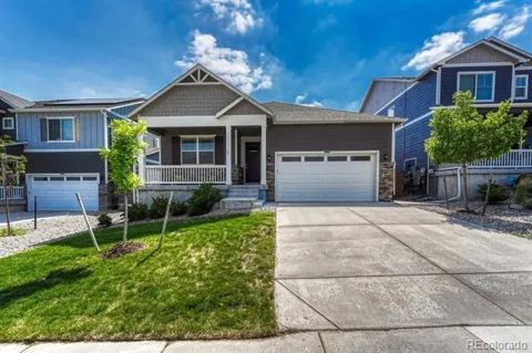 14032 Shasta Daisy Street