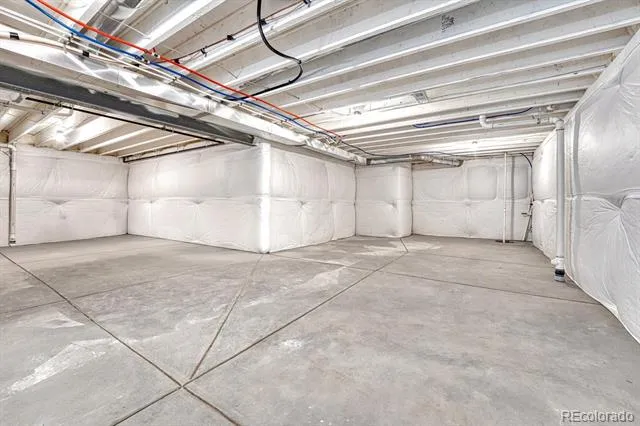 14032 Shasta Daisy Street Parker, CO 80134