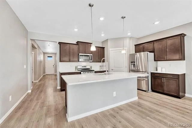 14032 Shasta Daisy Street Parker, CO 80134