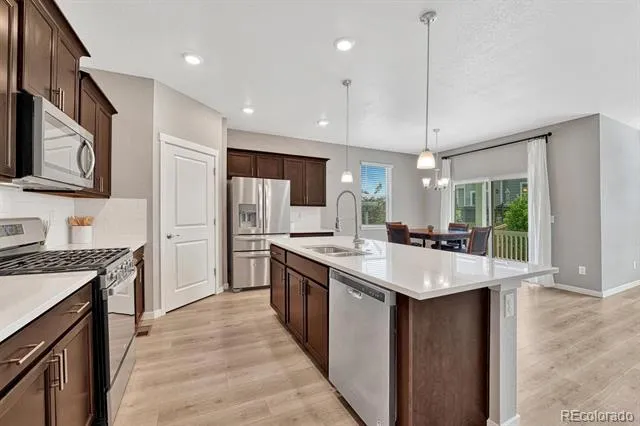 14032 Shasta Daisy Street Parker, CO 80134