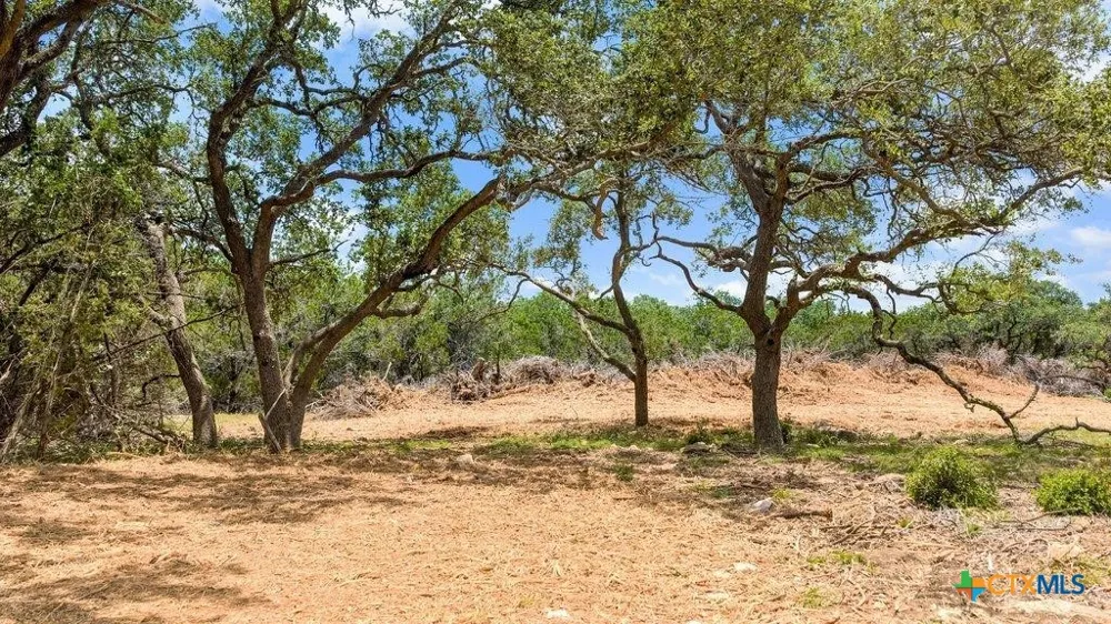 8 Cypress Cove Road Spring Branch, TX 78070