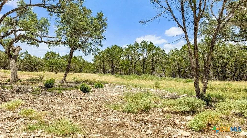 8 Cypress Cove Road Spring Branch, TX 78070